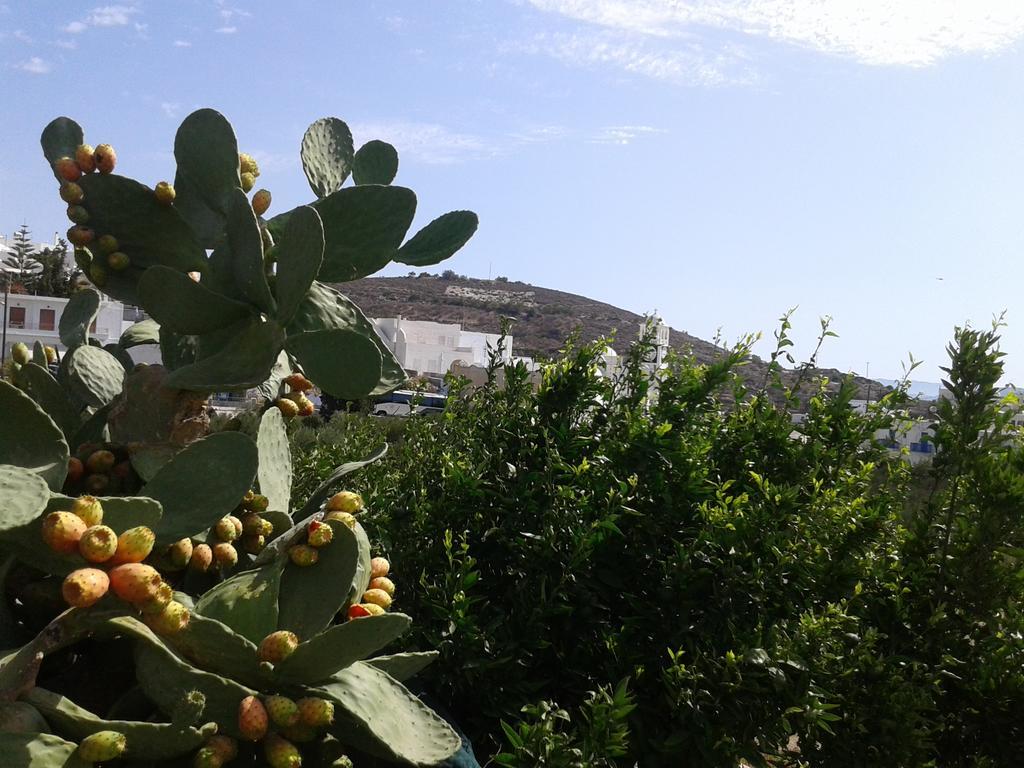 Matilda Milos - Cycladic Living Lejlighed Triovasálos Eksteriør billede