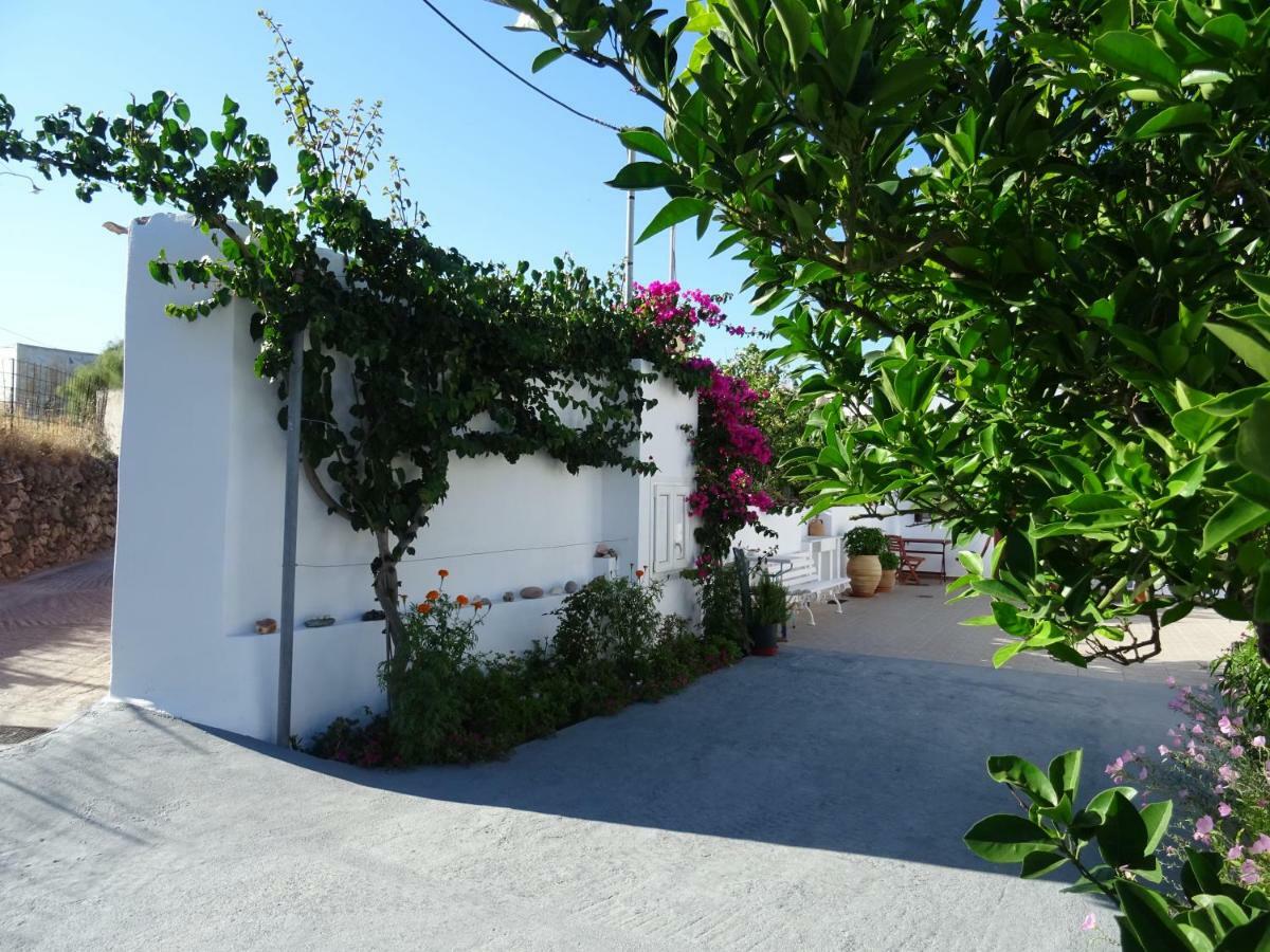 Matilda Milos - Cycladic Living Lejlighed Triovasálos Eksteriør billede